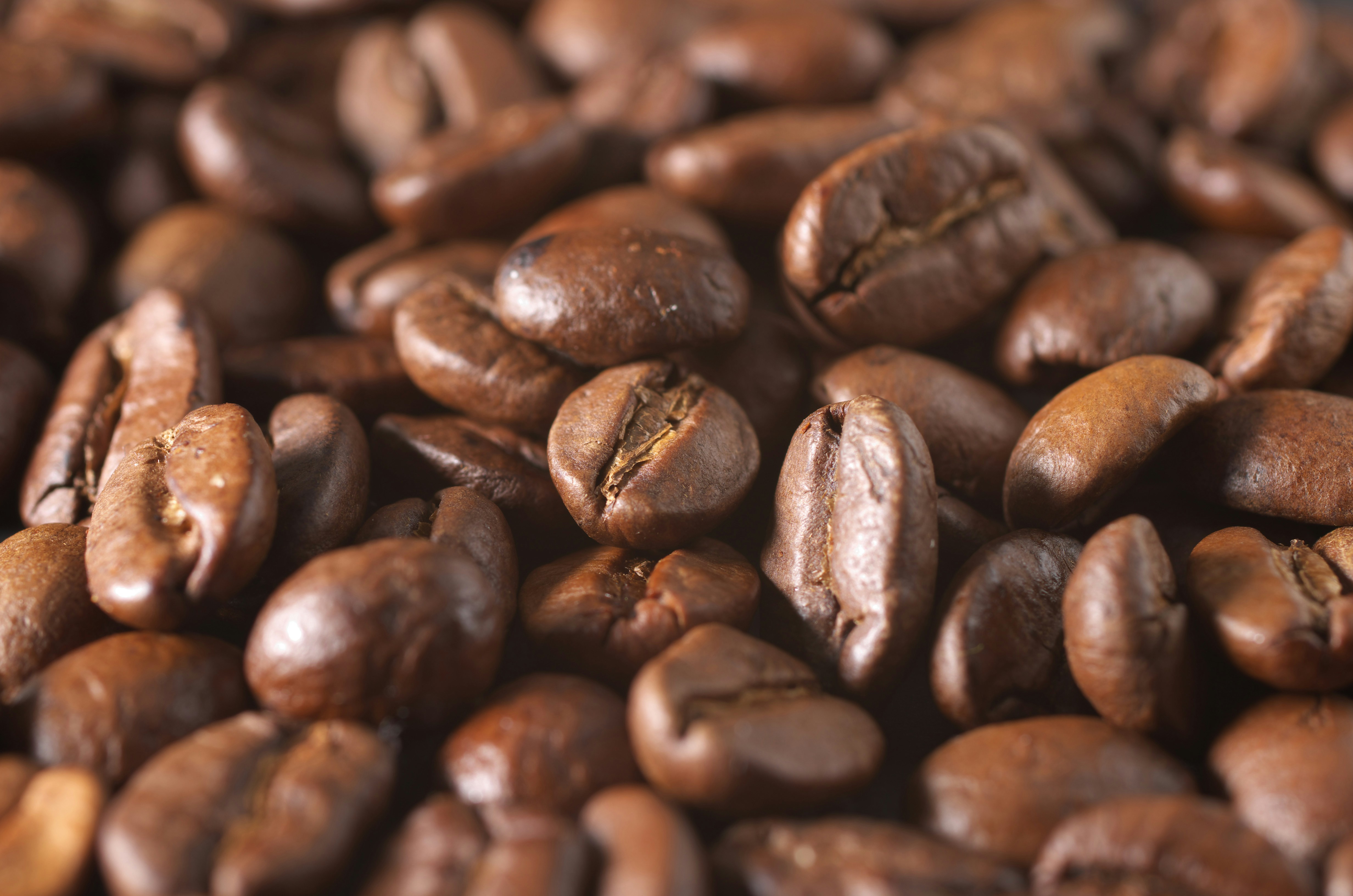 焙煎されたコーヒー豆